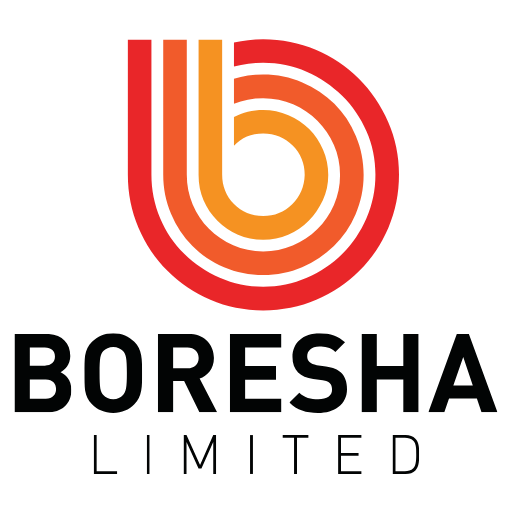 Favicon - Boresha Limited