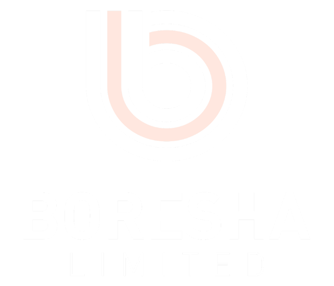 Footer logo - Boresha Limited